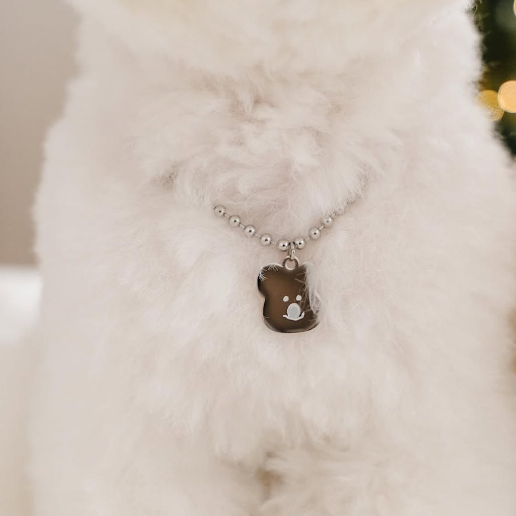 Custom DINOTAENG Pet Tag