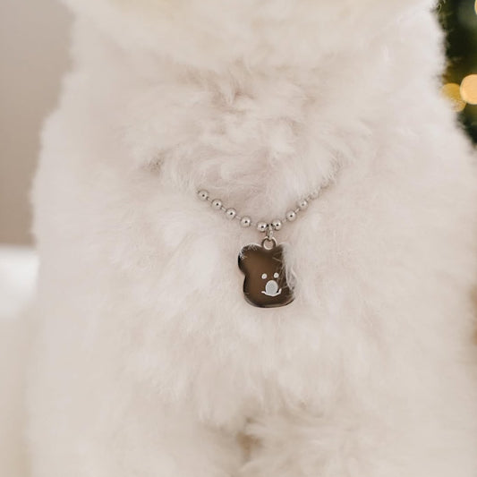 Custom DINOTAENG Pet Tag