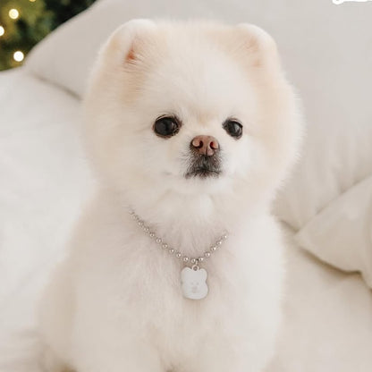 Custom DINOTAENG Pet Tag