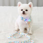 ITSDOG | Disney LED Collar (Mickey/Minnie/Donald Duck)