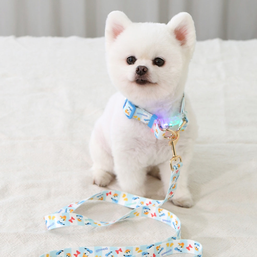 ITSDOG | Disney LED Collar (Mickey/Minnie/Donald Duck)