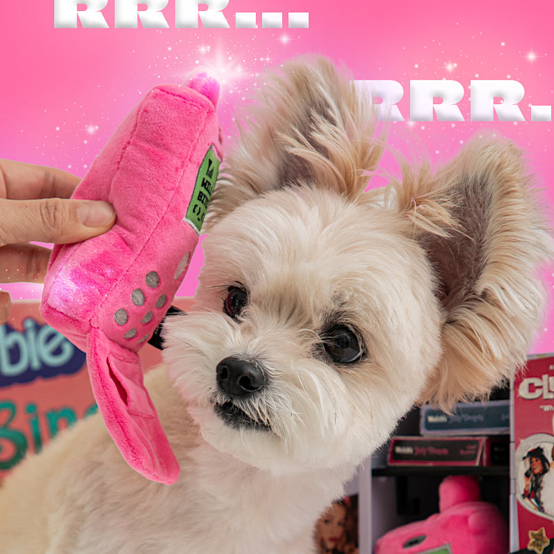Flip Phone Toy