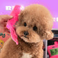Flip Phone Toy