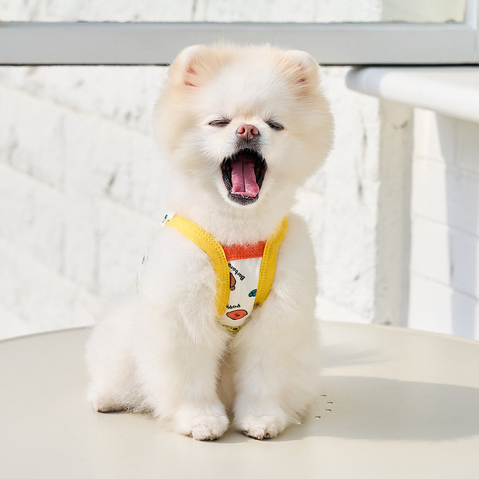 Miffy & Friends Crop Vest
