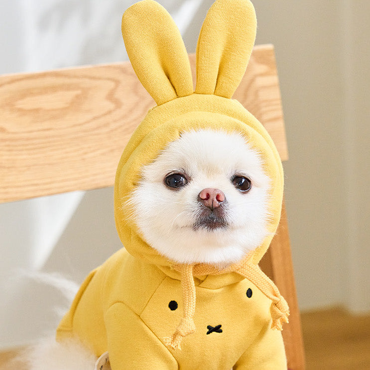 Miffy Hoodie (Mustard - 2023 ver.)