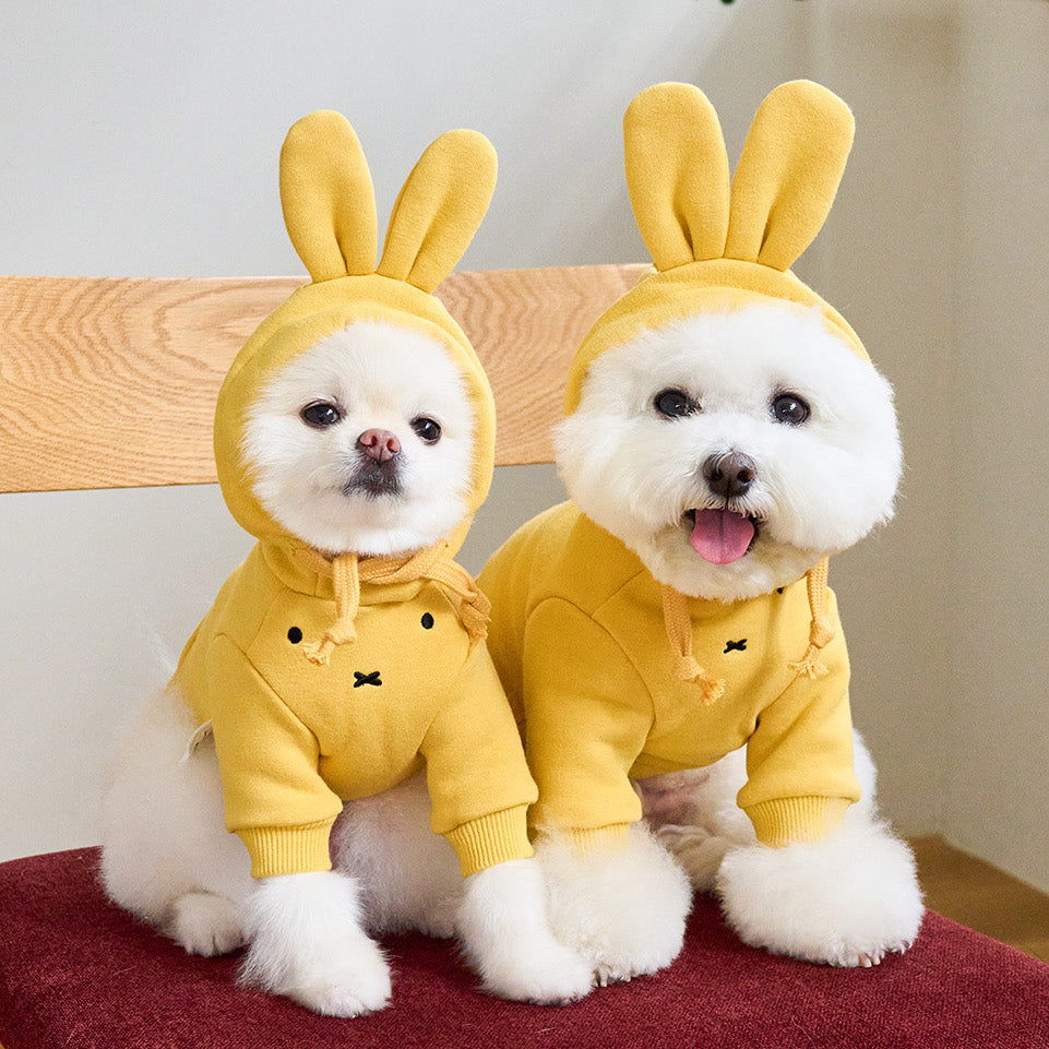 Miffy Hoodie (Mustard - 2023 ver.)