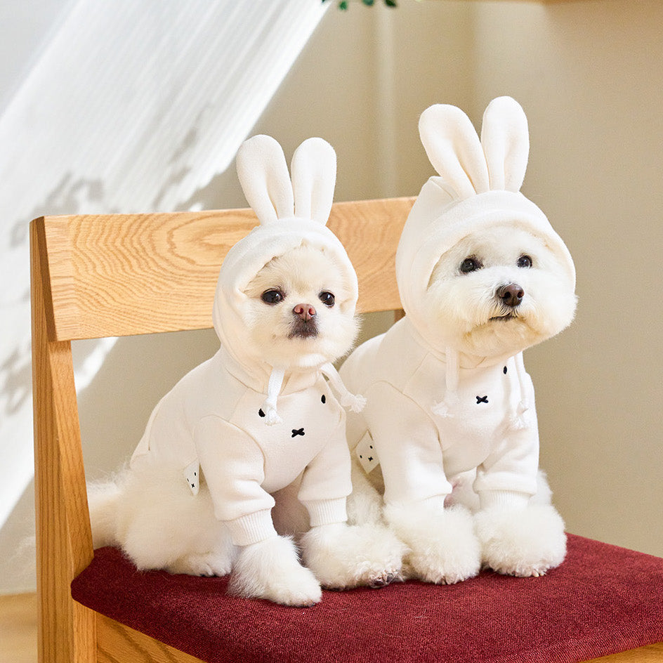 Miffy Hoodie (Ivory - 2023 ver.)