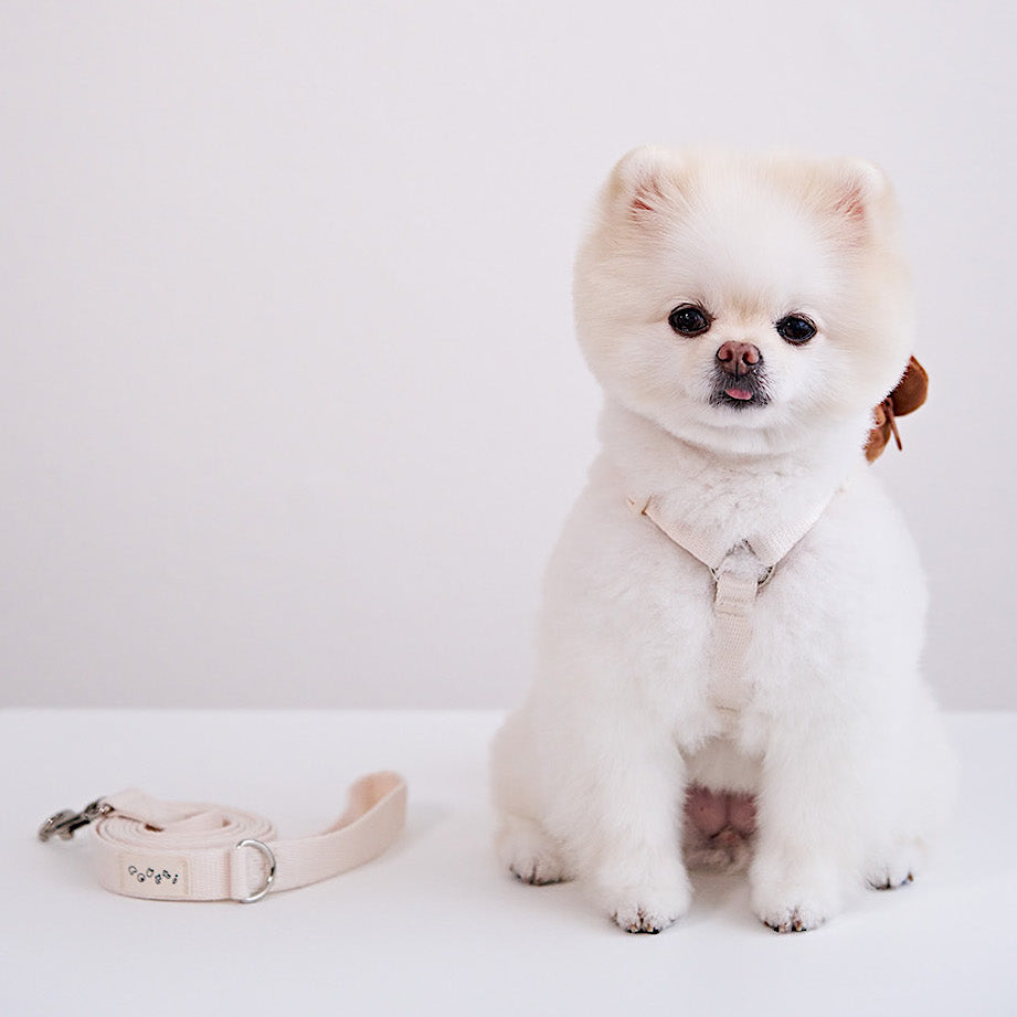 Boris Poop Bag Harness