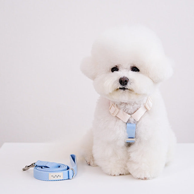 Boris Poop Bag Harness