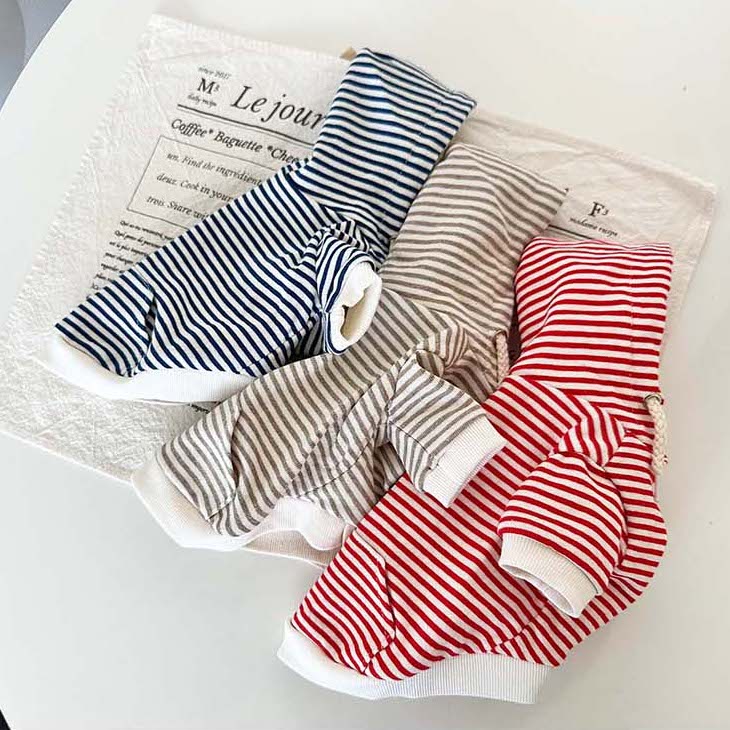 Striped Hoodie