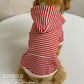 Striped Hoodie