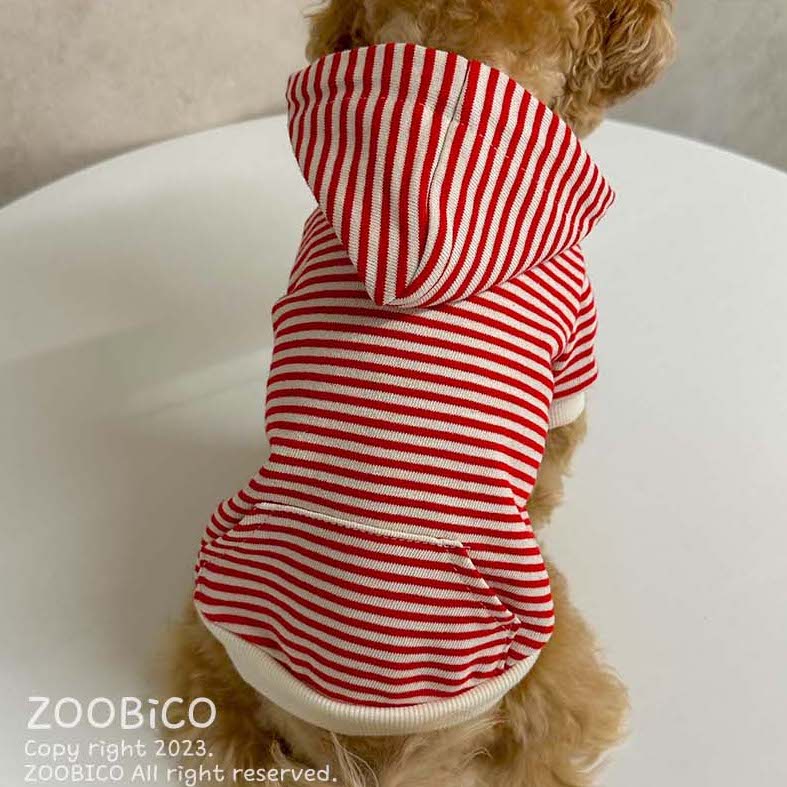 Striped Hoodie