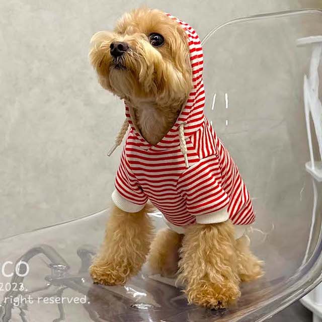 Striped Hoodie