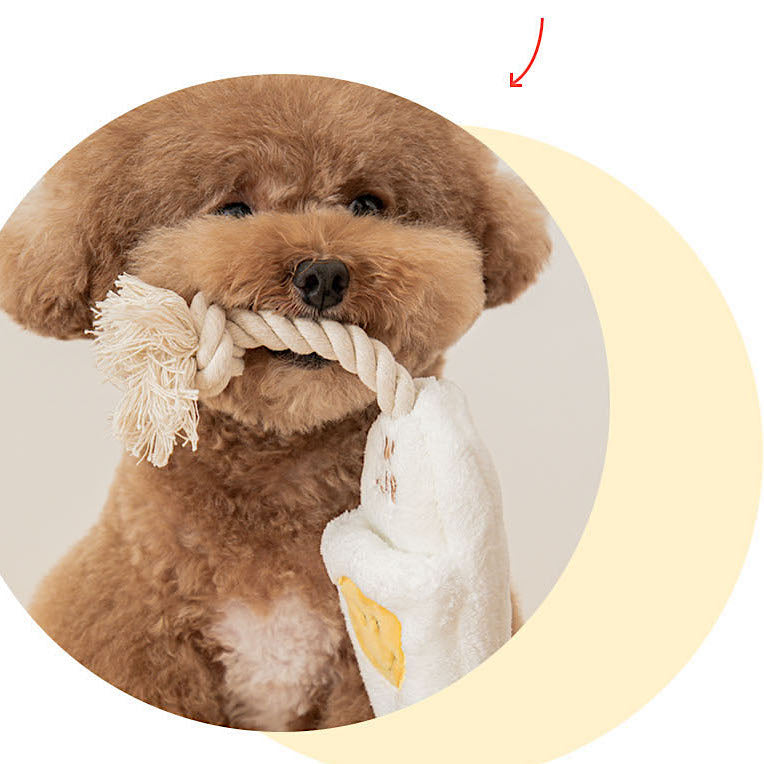 Slipper Tug Toy