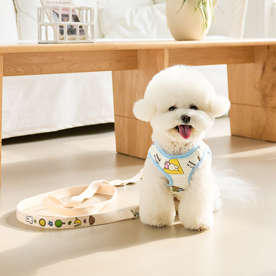 Camping Miffy Harness