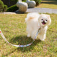Colorful Miffy Hands Free Leash (2.8m)