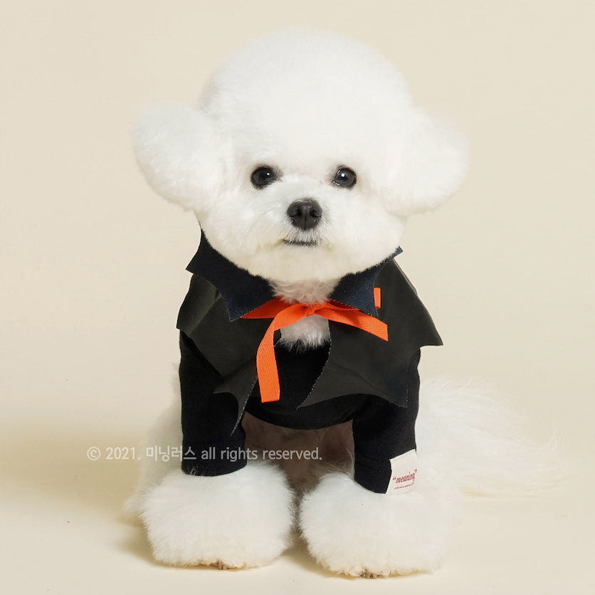 Halloween Ghost Cape & Black Tee Set