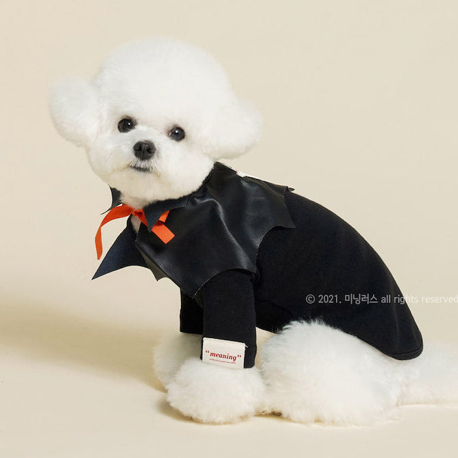 Halloween Ghost Cape & Black Tee Set