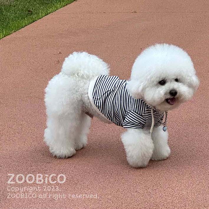 Striped Hoodie