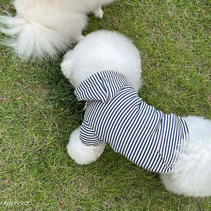 Striped Hoodie