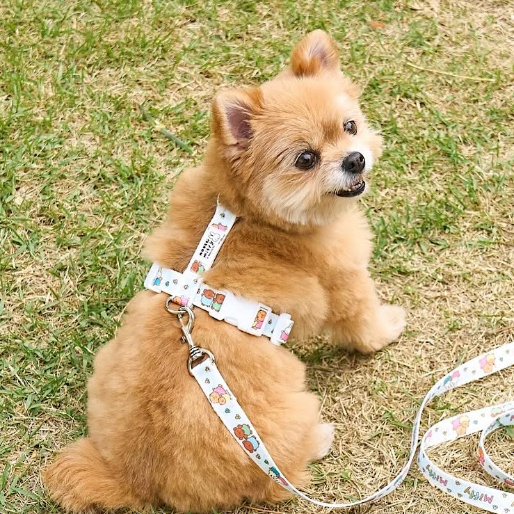 Miffy Family Harness