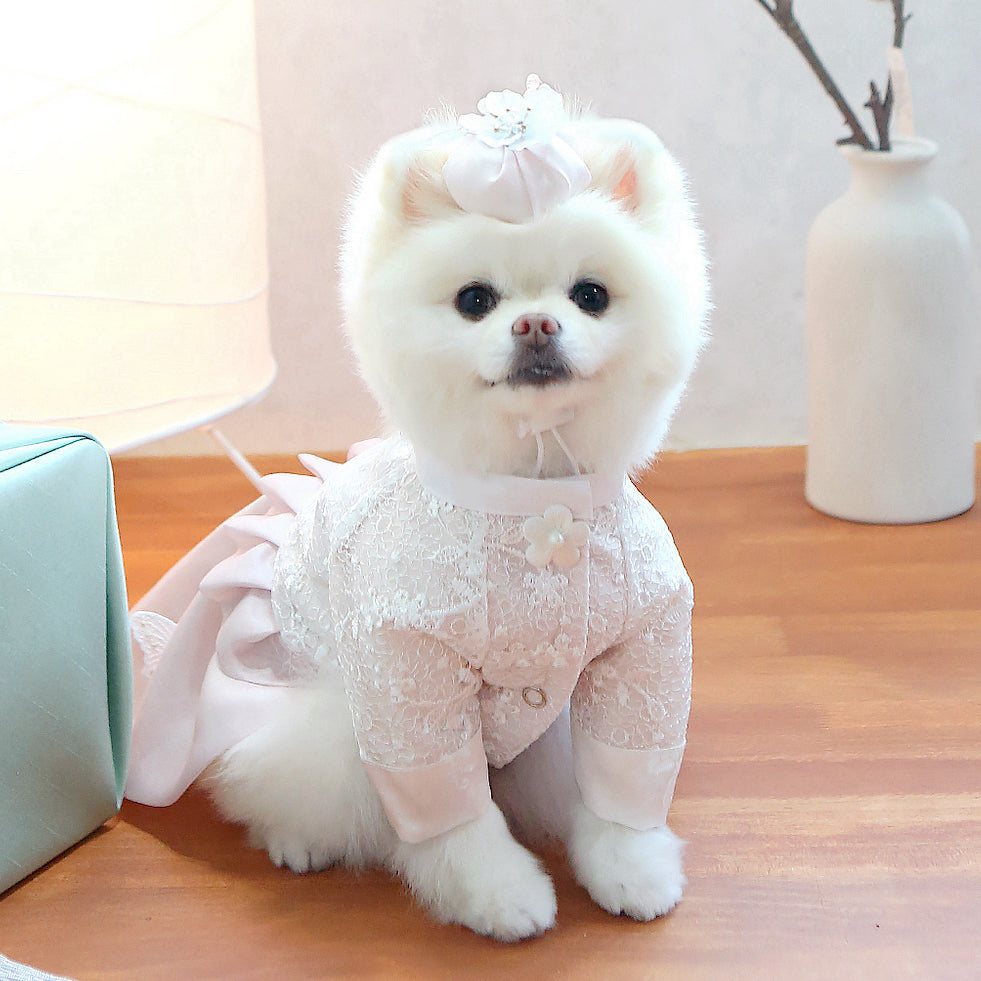 Haewon Headpiece