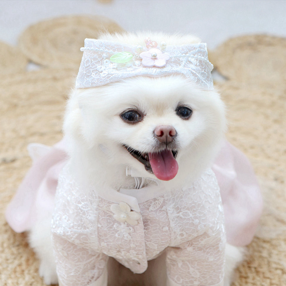 Haewon Ayam Hat