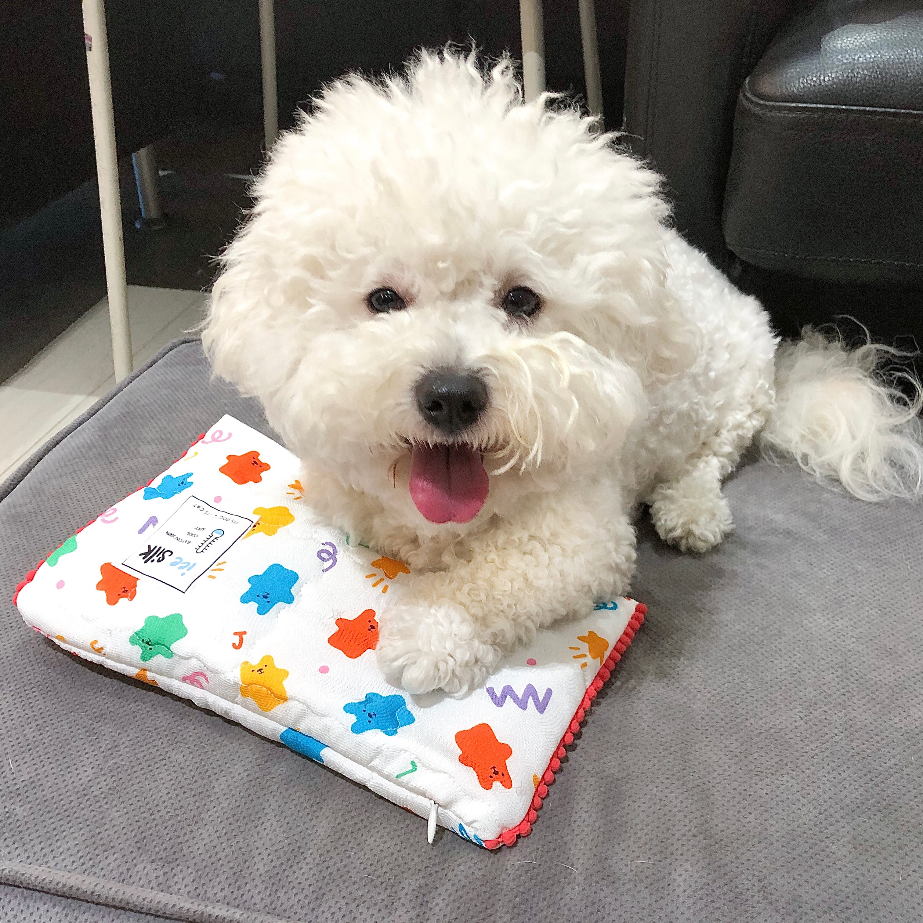 Jelly Bear Ice Pack Pouch (Ice Pack Included!) – PAW-EVER