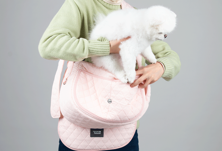 Campus Sling Bag