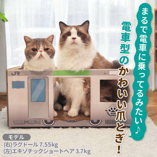 JR Railway Cat Scratcher