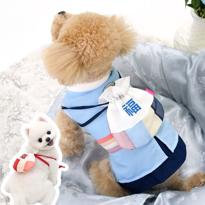 New Year Pouch | Backpack Style