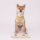 Rilakkuma Floral Leash