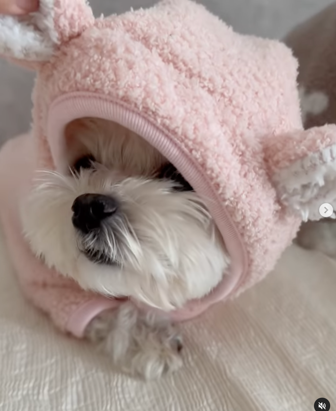 Bear Blanket Cape
