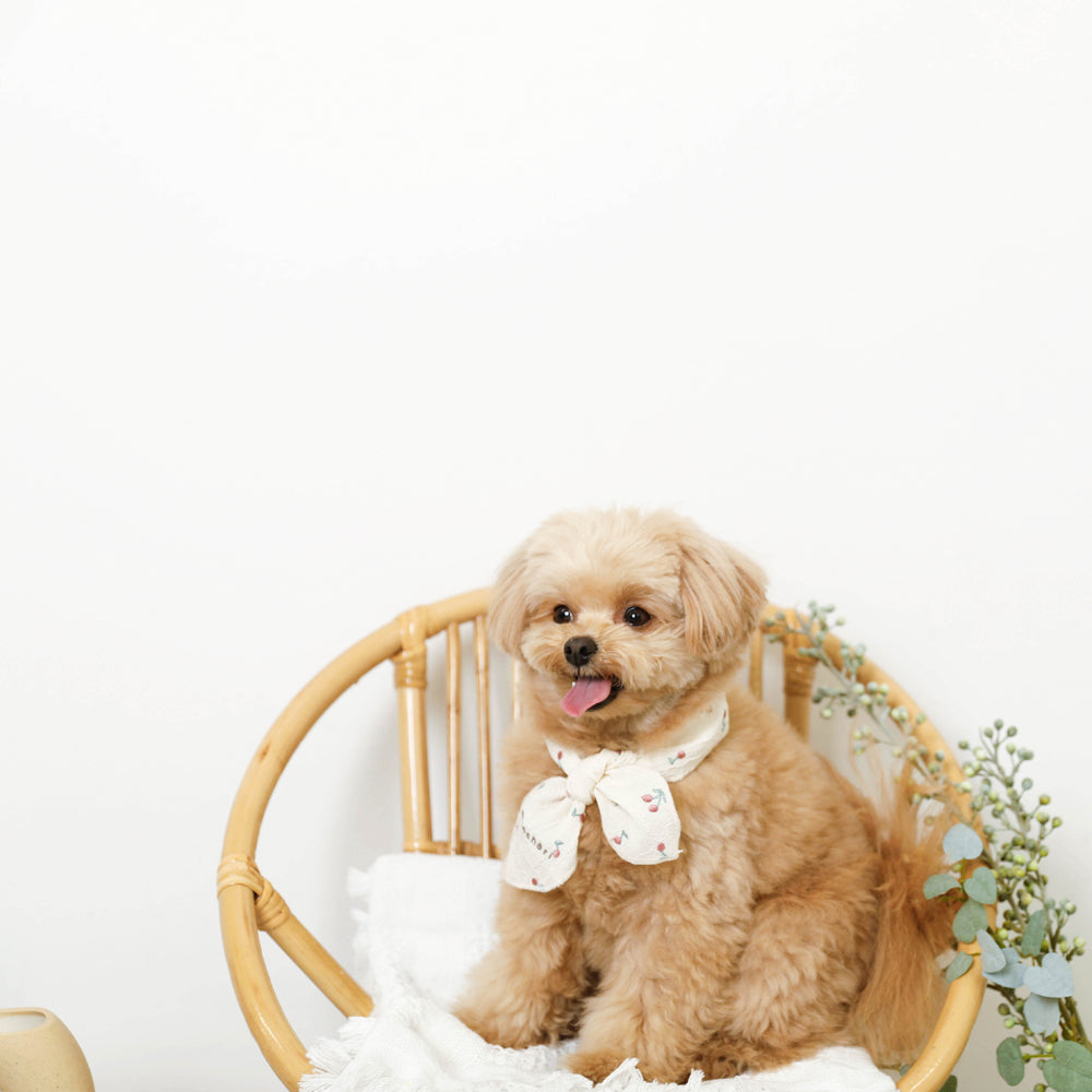 Cherry Cooling Scarf (ice pack included)