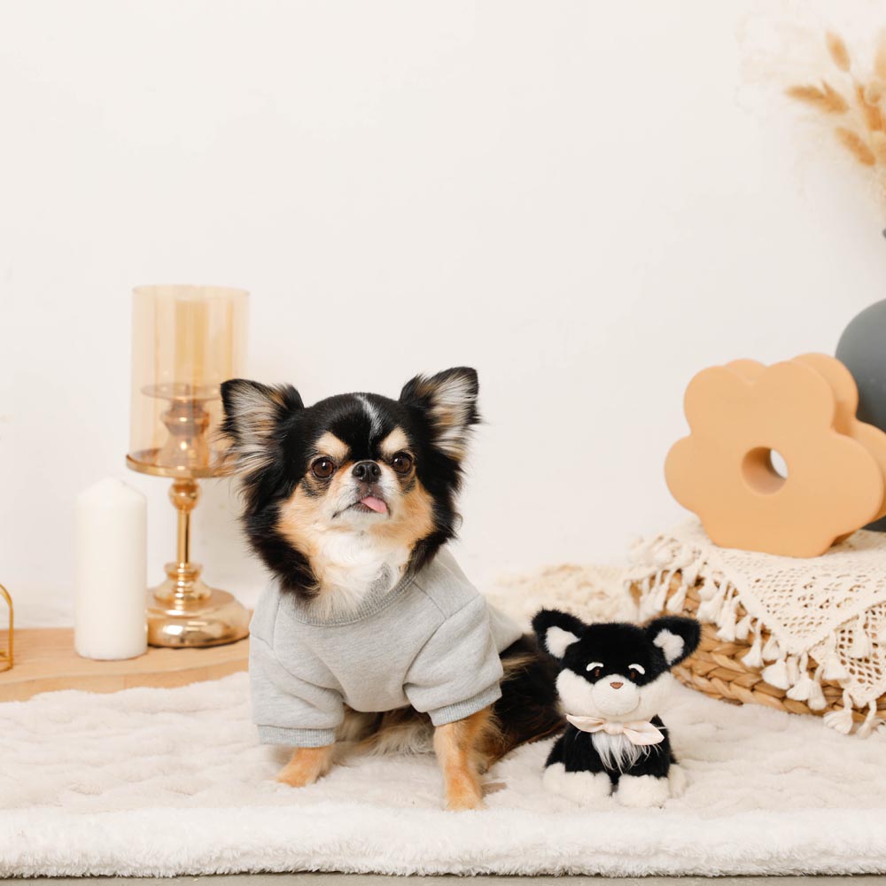 Ribbon Dog Sweatshirt