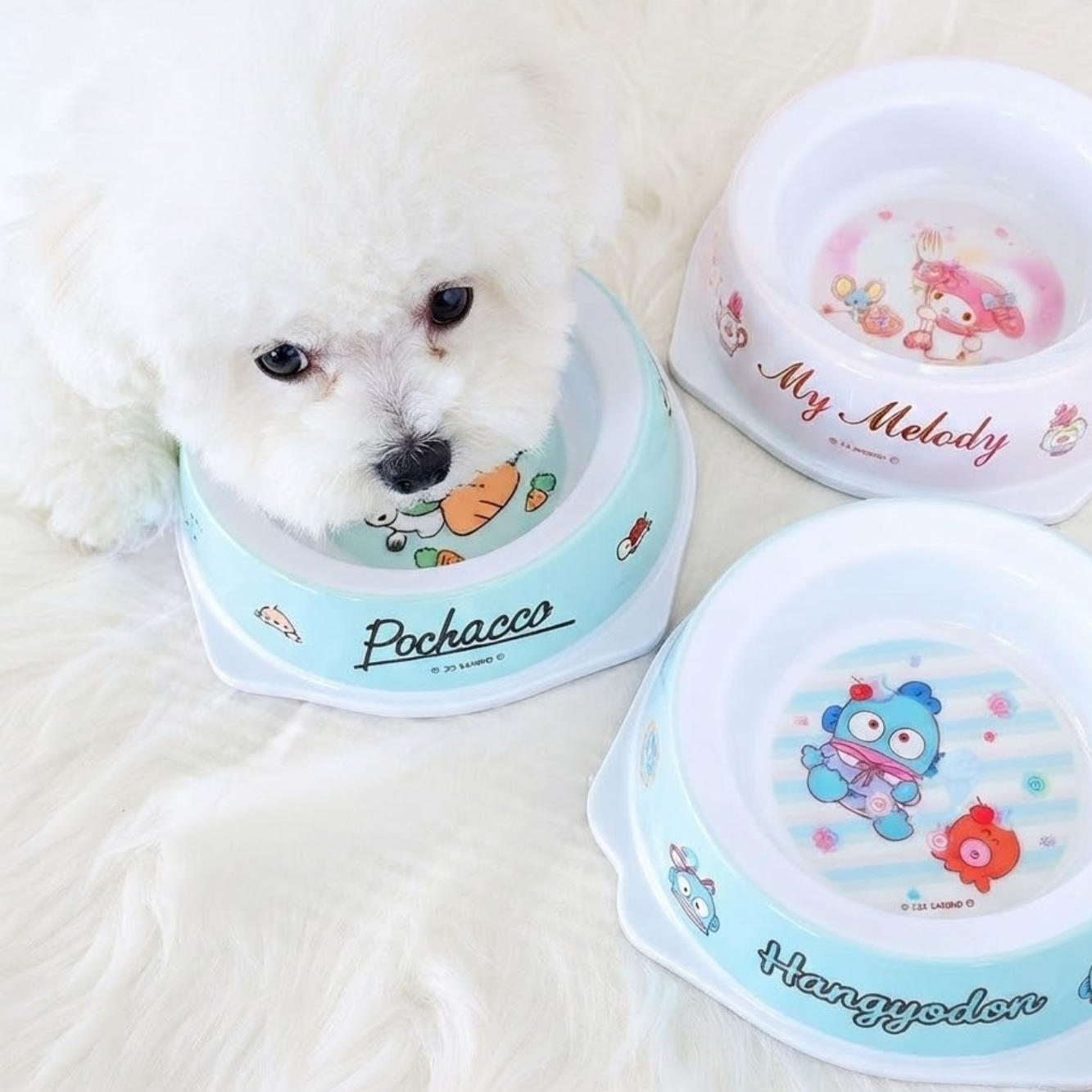 Sanrio Characters Pet Bowl