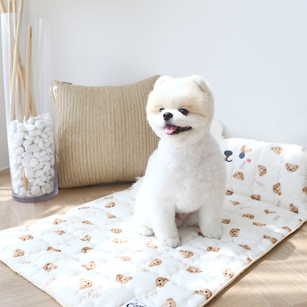 W Bear Cooling Mat (With Built-in Pillow)