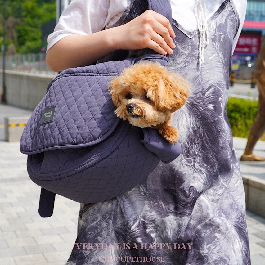 Campus Sling Bag