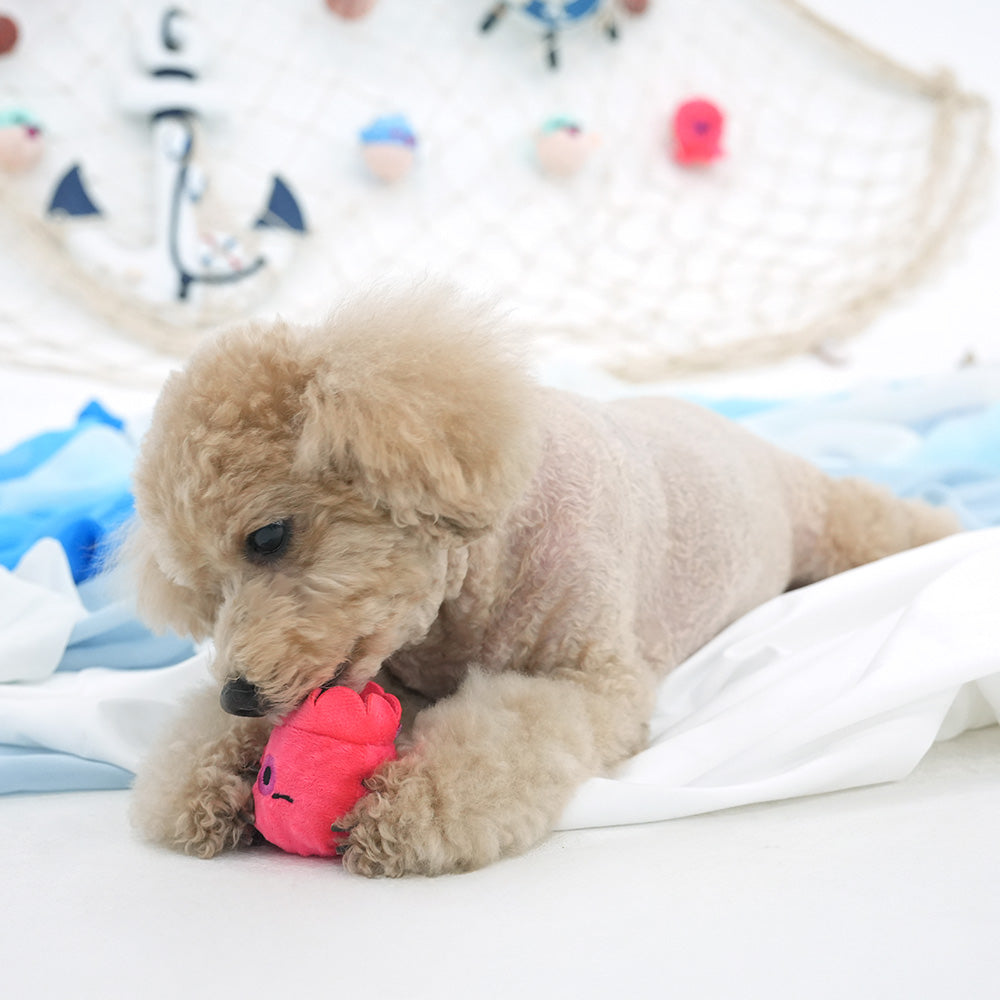 海洋布包咇咇波玩具