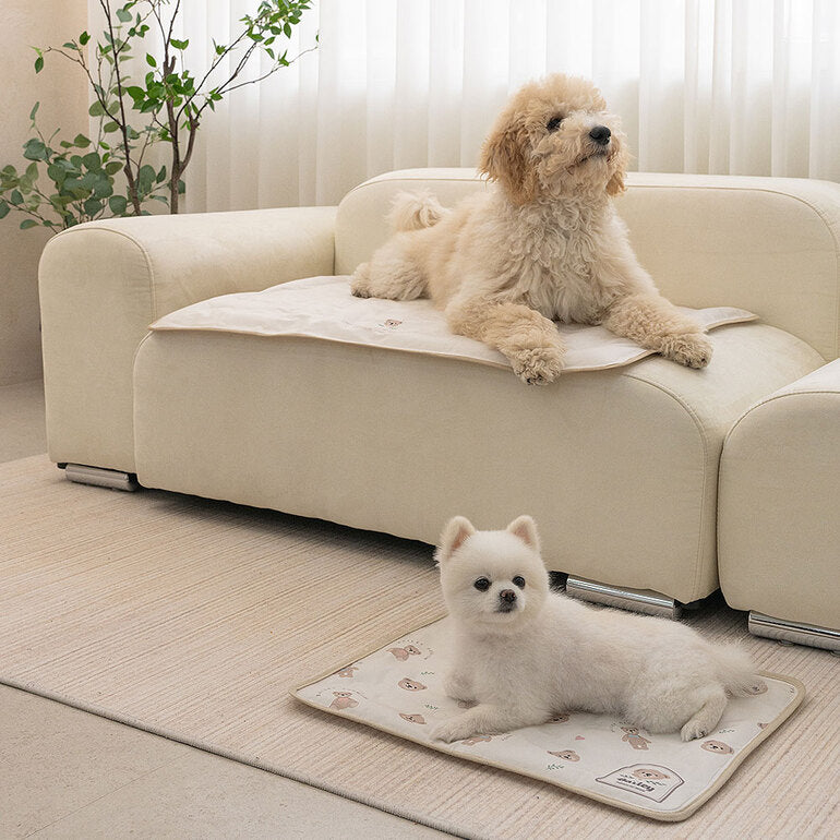 Teddy Bear Cooling Mat 韓系熊仔凝膠冰墊 | 雙面設計