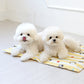 Disney Baby Friends Cooling Gel Mat (2 colors)