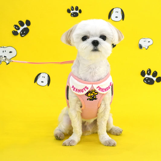 Snoopy Peter Pan Collar Harness + Leash Set