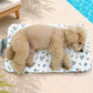Snoopy Multi Cooling Cushion (Swim Ring) | Snoopy多用途涼感冰墊 (水泡款)| 寵物車墊 | 可家中使用 | 附送冰包
