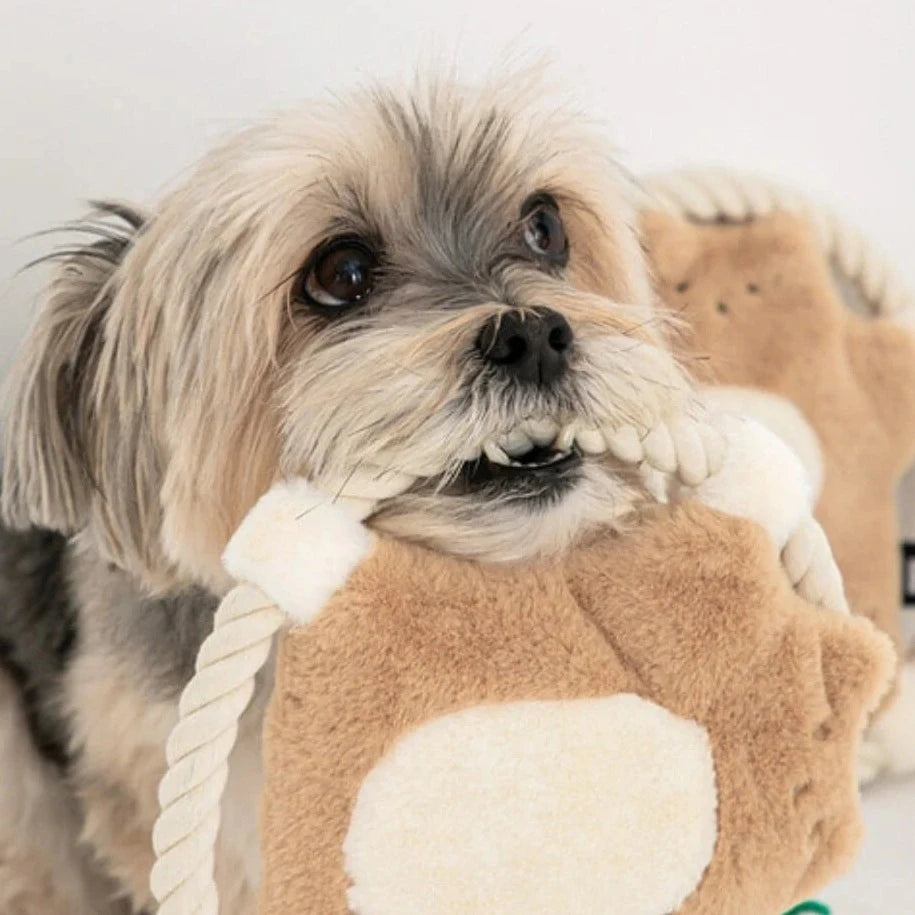Flying Squirrel Toy