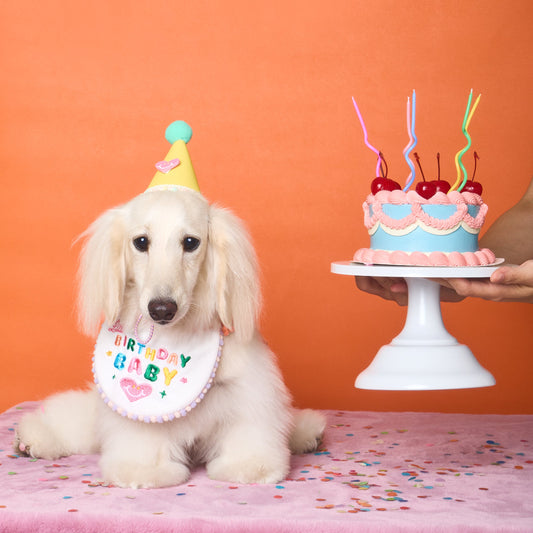 Bib Bib Hooray 生日口水肩