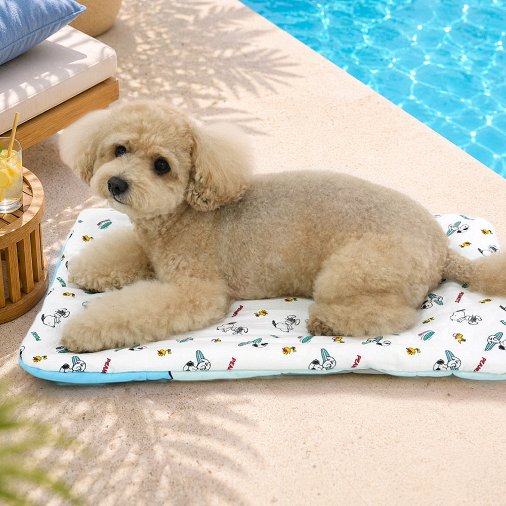 Snoopy Multi Cooling Cushion (Swim Ring) | Snoopy多用途涼感冰墊 (水泡款)| 寵物車墊 | 可家中使用 | 附送冰包