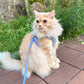 Pororo Harness 胸帶