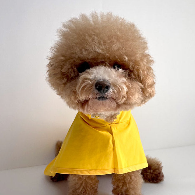 Raincoat (Cape Style) | 寵物雨褸 | 披肩款 | 不用穿手仔＆腳仔