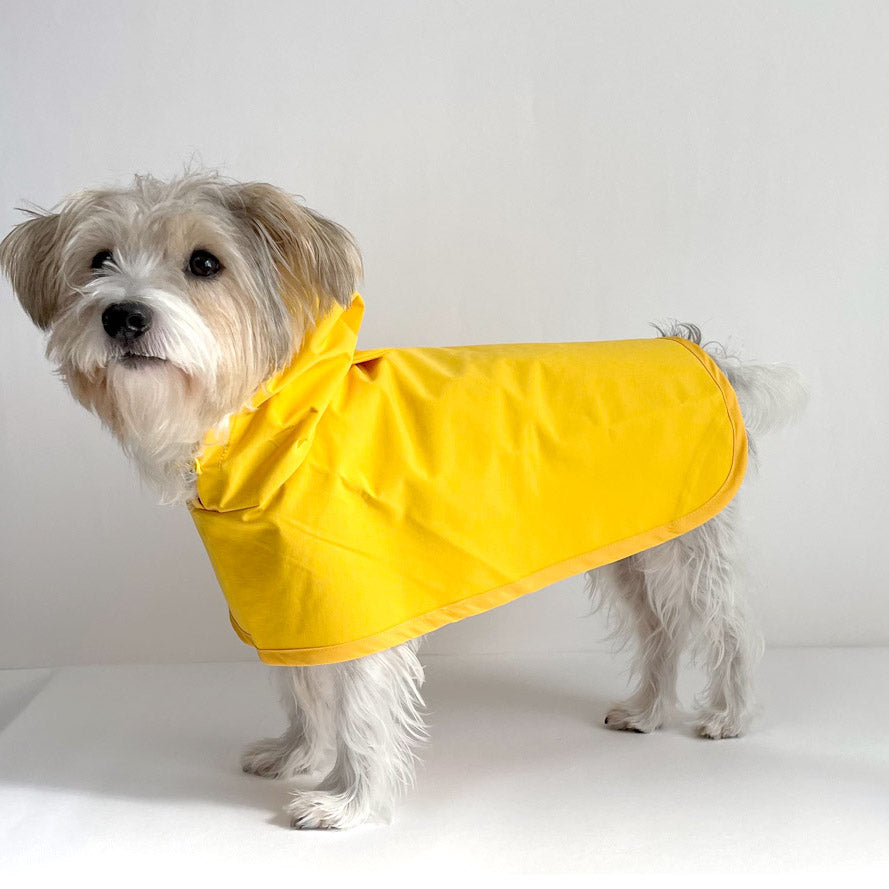 Raincoat (Cape Style) | 寵物雨褸 | 披肩款 | 不用穿手仔＆腳仔