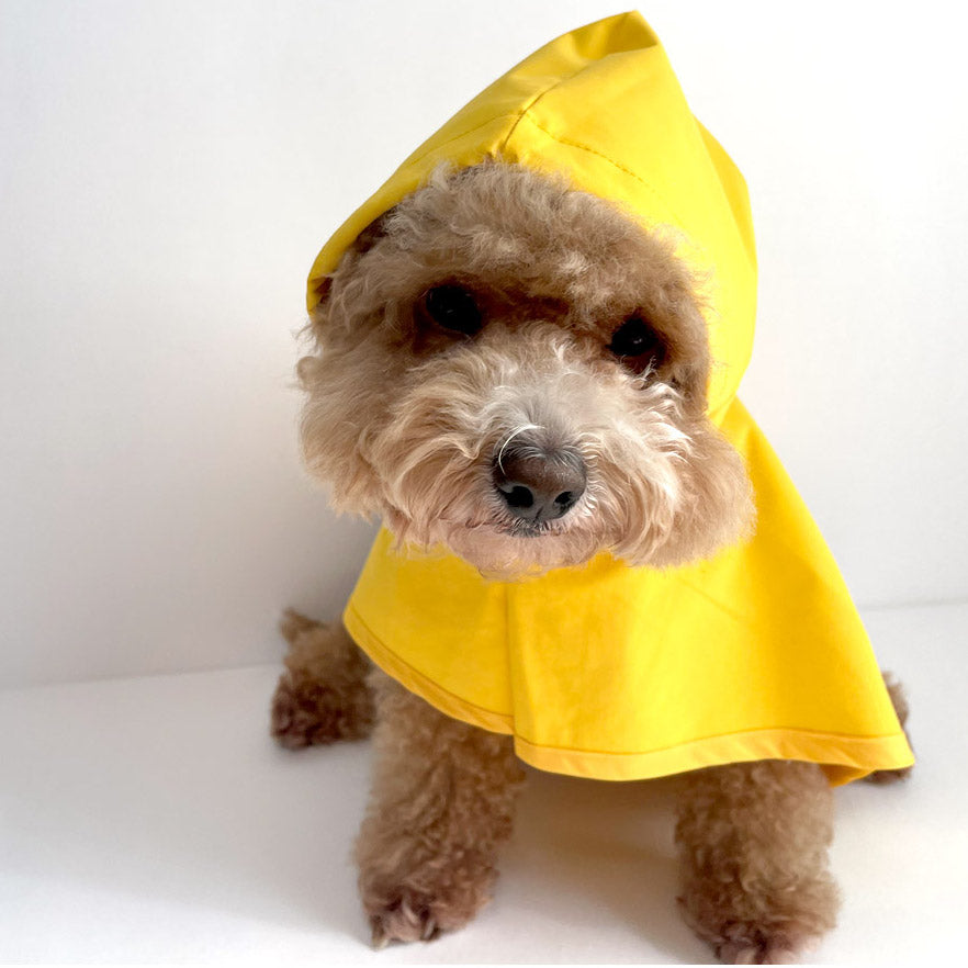 Raincoat (Cape Style) | 寵物雨褸 | 披肩款 | 不用穿手仔＆腳仔